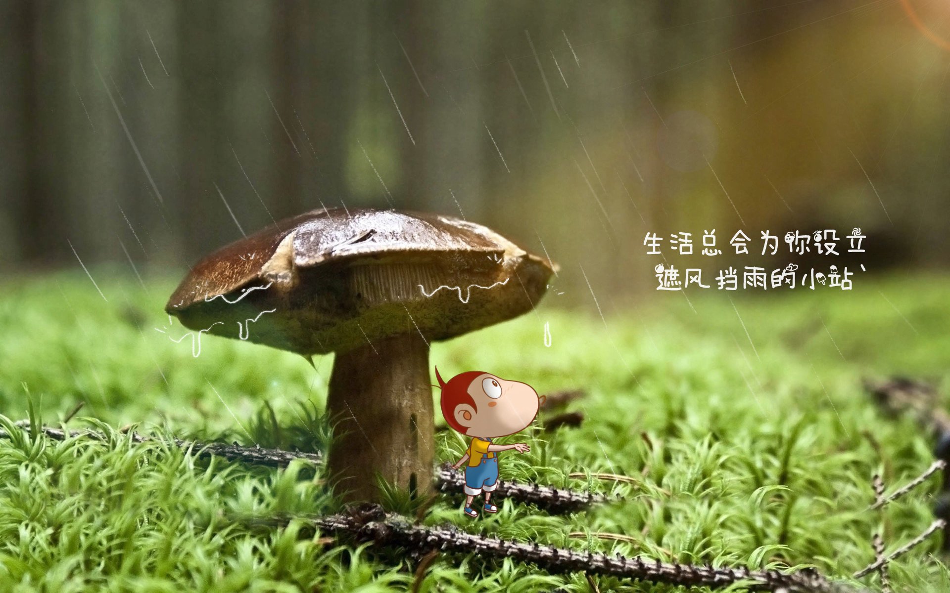 CBA整体三分命中率为何未提升，cba三分球命中率最新排名
