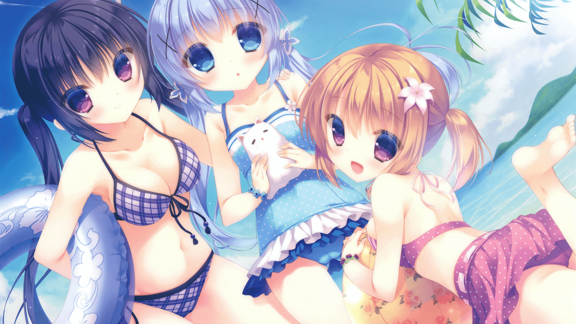 澳大利亚橄榄球青训体系扩展至全国，澳式橄榄球球队