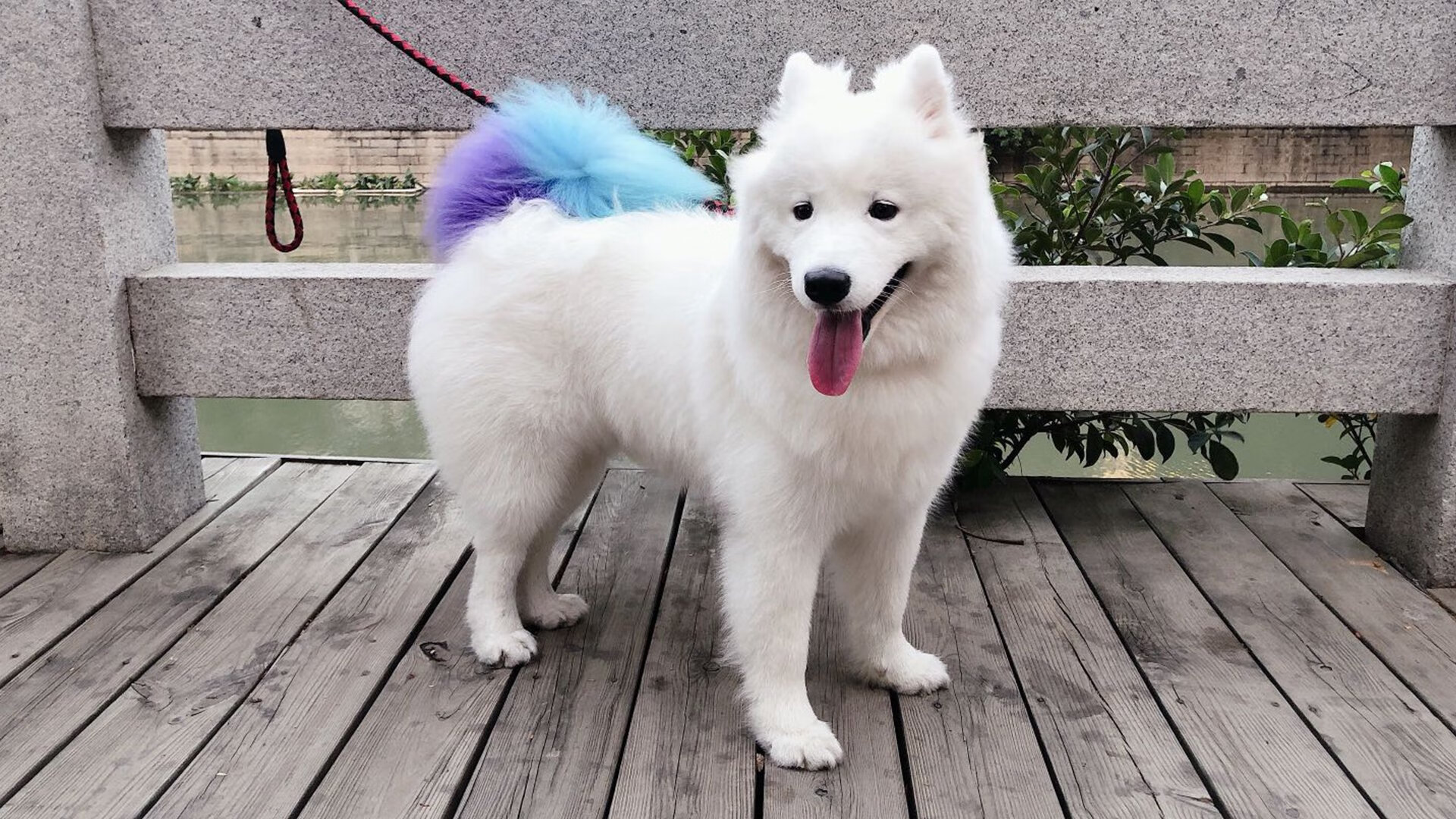 世俱杯官方-西甲金球之战：明星斗技，精彩纷呈！，西甲金牌