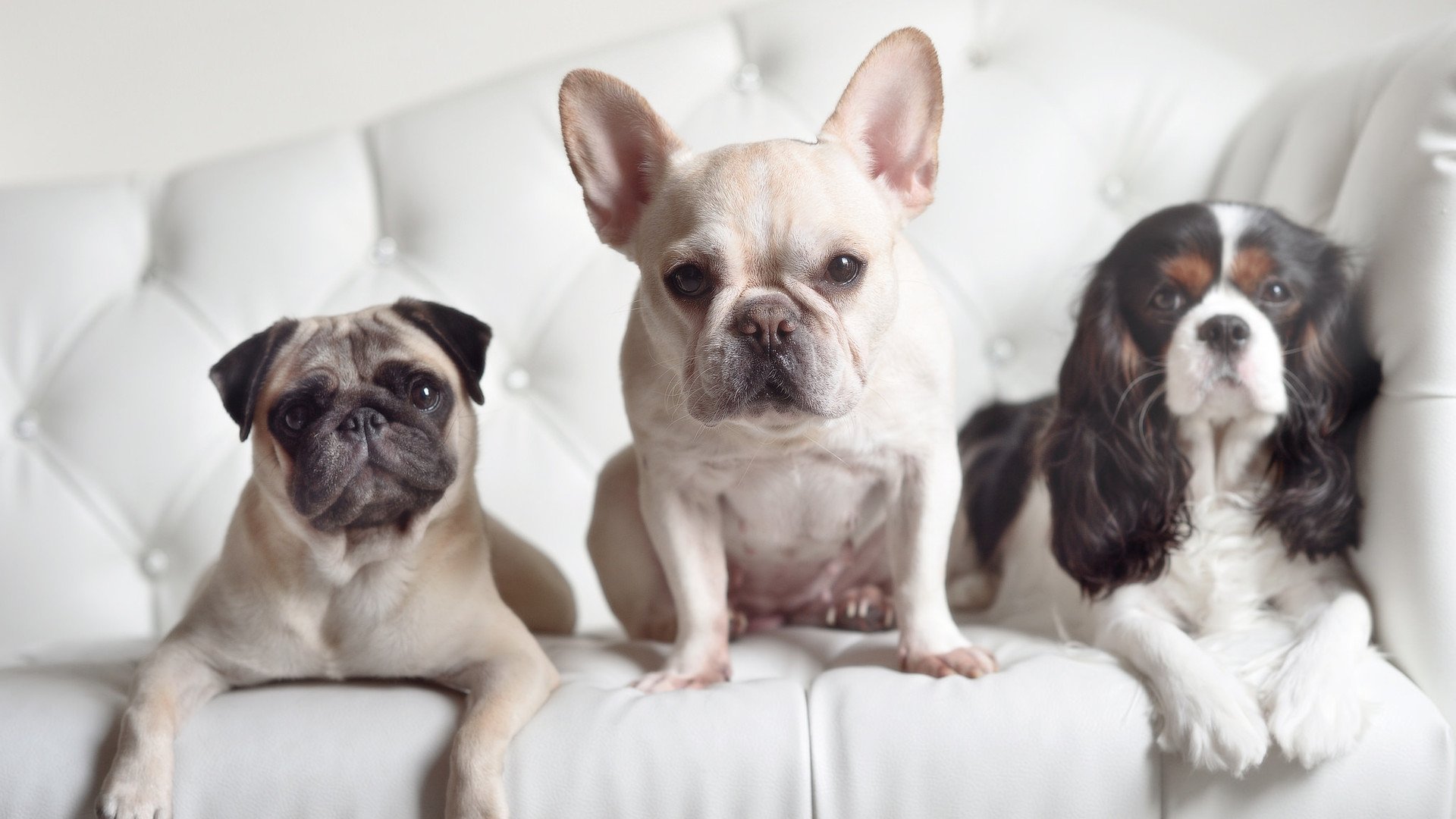 高原主场作战对对手形成天然压力主队提前适应有望占先机，高原地区压力