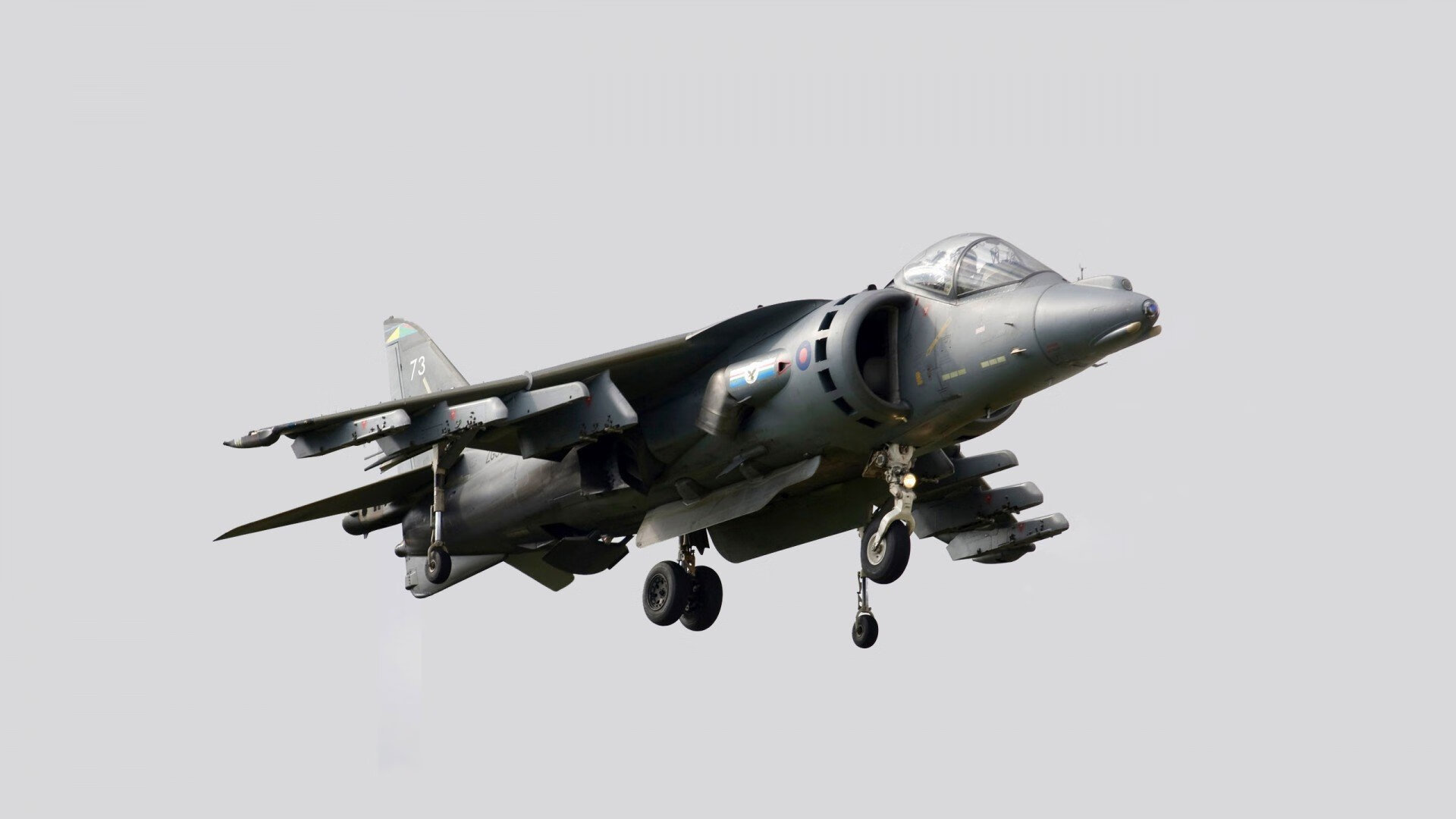 自由泳接力摩纳哥表现抢眼，200自由泳接力视频